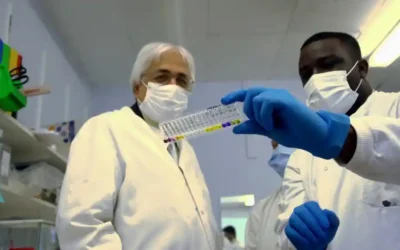 Research Development Fellowship 2023/24