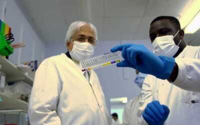 Research Development Fellowships